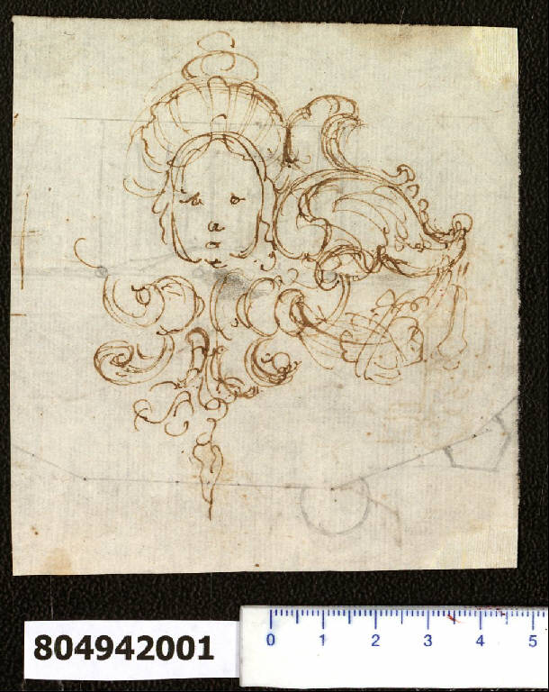 Ornato con testa di cherubino coronata (schizzo) di Martinelli, Domenico (ultimo quarto sec. XVII)