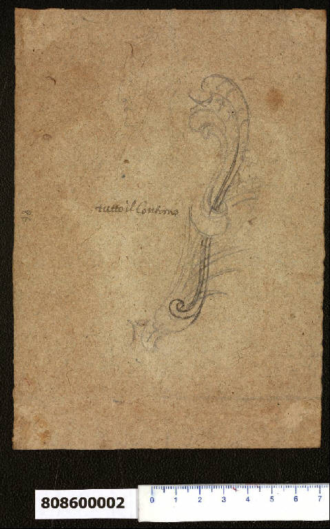 Cartella per arme gentilizia e profilo maschile (schizzo) di Martinelli, Domenico (fine sec. XVII)