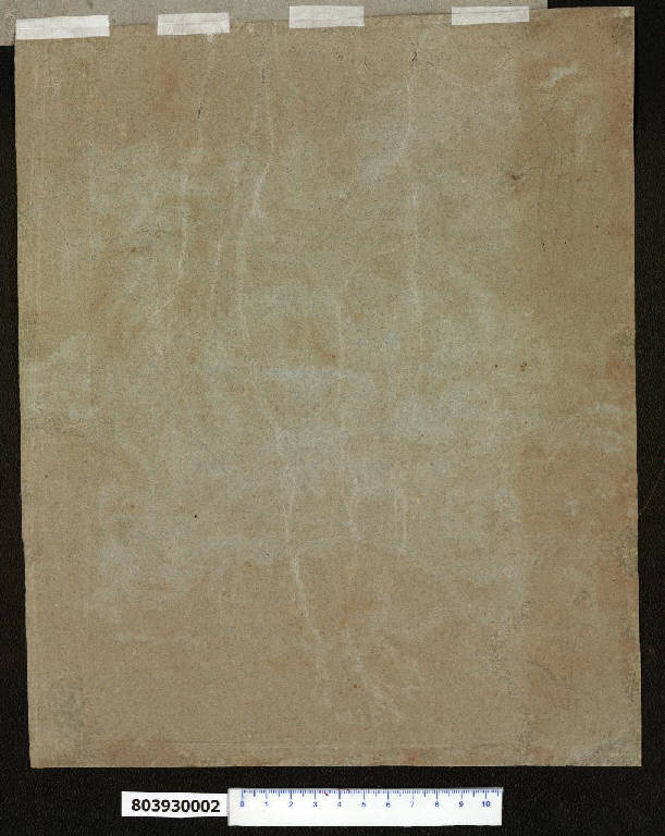Nudo femminile parziale (schizzo) di Martinelli, Domenico ((?)) (fine sec. XVII)