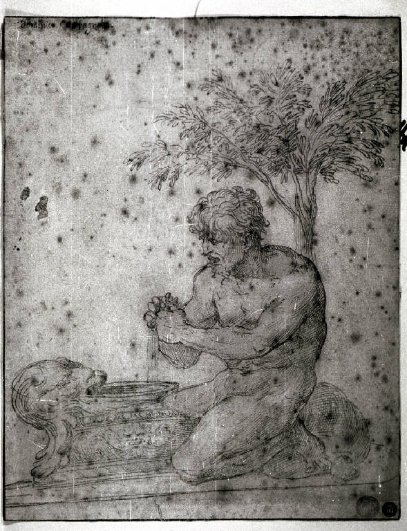 Satiro che spreme un grappolo d'uva (disegno) di Campagnola Domenico (attr.) (secondo quarto sec. XVI)
