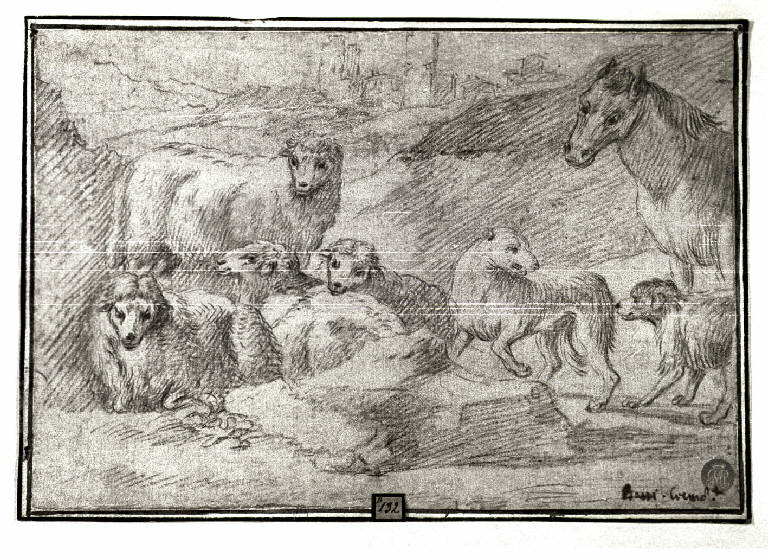Gregge con cani e cavallo (disegno) di Bassi Francesco Maria il Vecchio detto Cremonese dei Paesi (ultimo quarto sec. XVII)