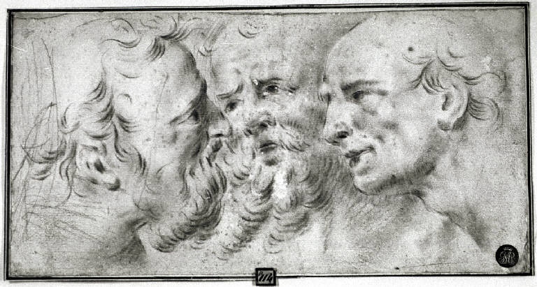 Teste maschili (disegno) di Procaccini Giulio Cesare (maniera) (prima metà sec. XVII)