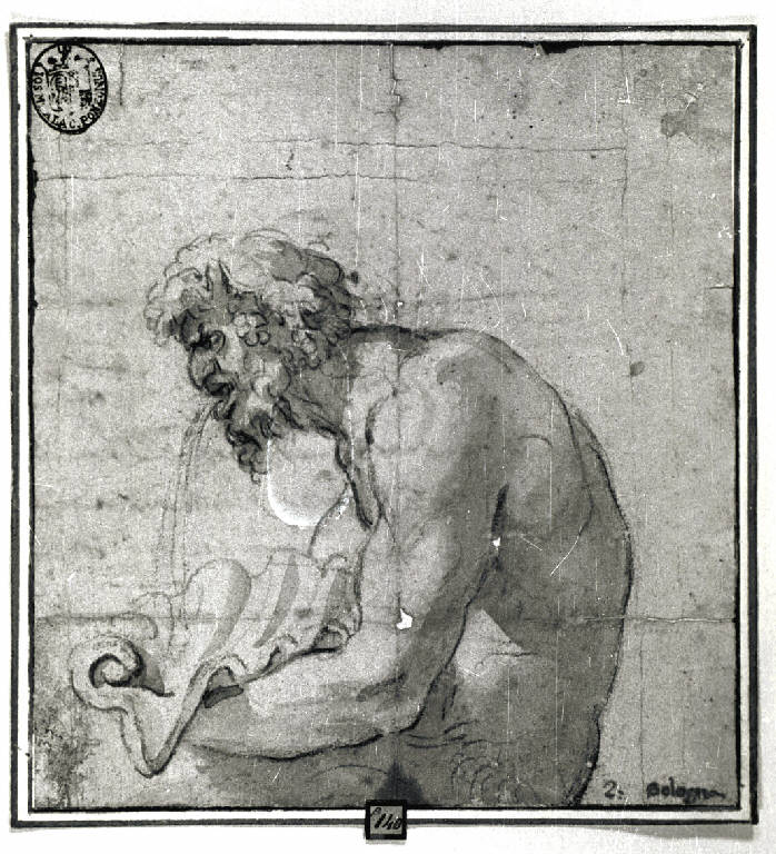 Satiro che sputa acqua in una conchiglia (disegno) di Carracci Annibale (maniera) (fine/inizio secc. XVI/ XVII)