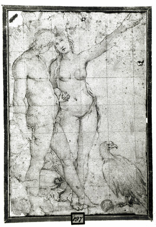 Adamo ed Eva (disegno) - ambito bolognese (primo quarto sec. XVI)