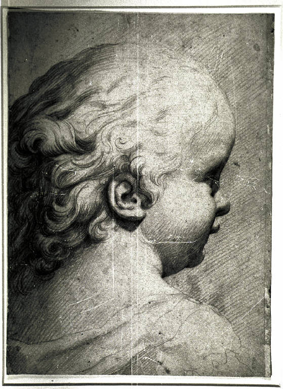 Testa di bambino (disegno) di Cattapane Luca (attr.) (fine sec. XVI)