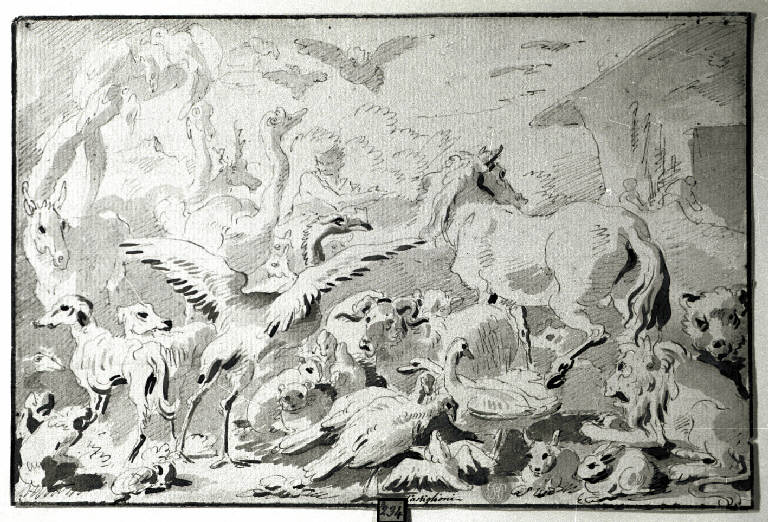 Noè e gli animali entrano nell'Arca (disegno) di Castiglione Francesco (attr.) (inizio sec. XVIII)