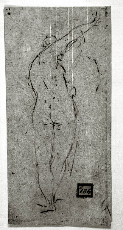 Nudo femminile (disegno) - ambito veneto (seconda metà sec. XVII)