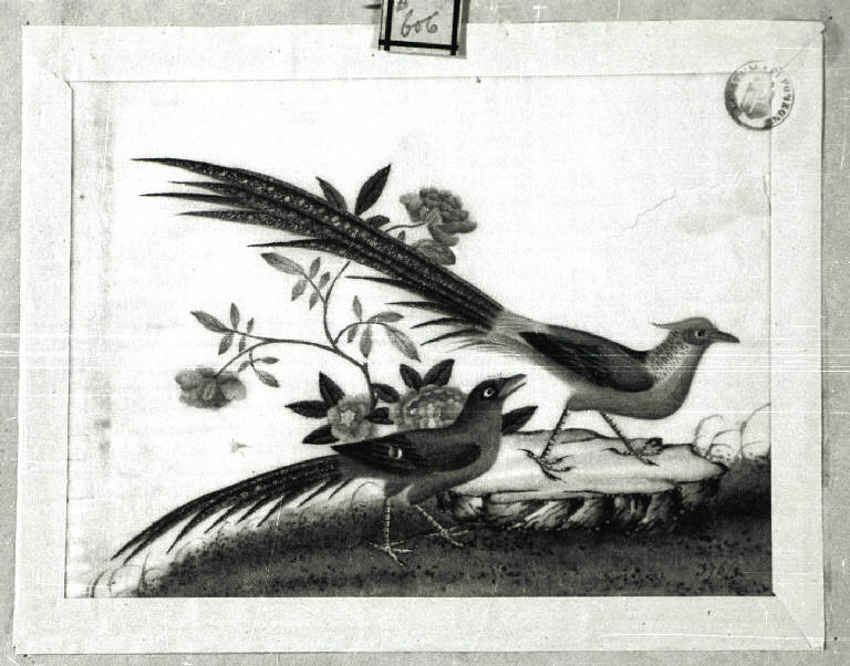 Uccelli (disegno) - stile estremo-orientale (prima metà sec. XIX)