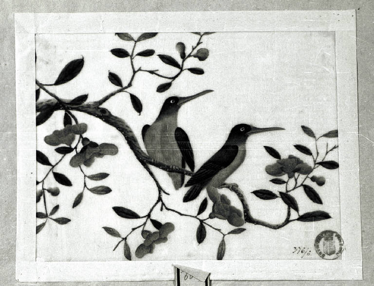 Uccelli (disegno) - stile estremo-orientale (prima metà sec. XIX)
