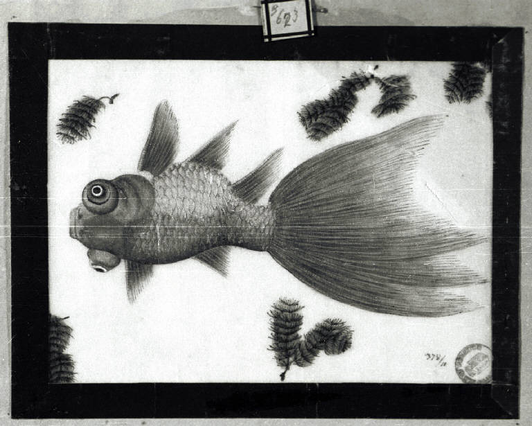 Pesce (disegno) - stile estremo-orientale (prima metà sec. XIX)