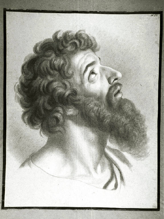 Testa di apostolo (disegno) di Diotti Giuseppe (scuola) (sec. XIX)