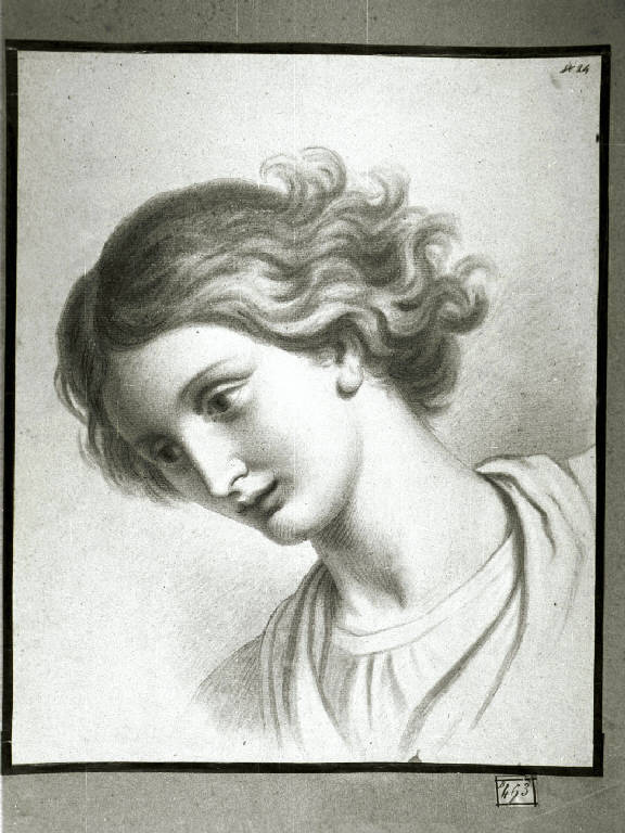 Testa di angelo (disegno) di Diotti Giuseppe (scuola) (sec. XIX)