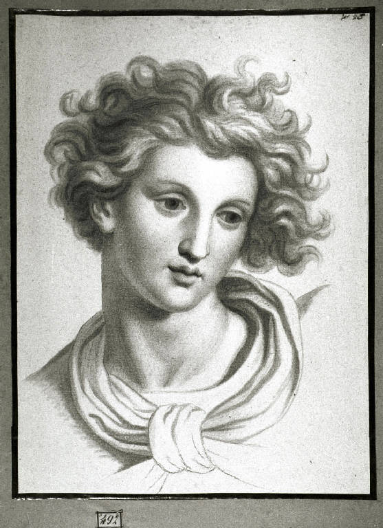 Testa di angelo (disegno) di Diotti Giuseppe (scuola) (sec. XIX)