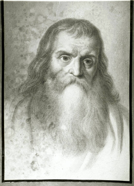 Testa barbuta (disegno) di Diotti Giuseppe (scuola) (sec. XIX)