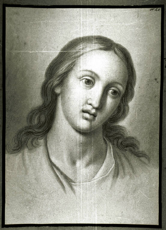 Testa di giovane (disegno) di Diotti Giuseppe (scuola) (sec. XIX)