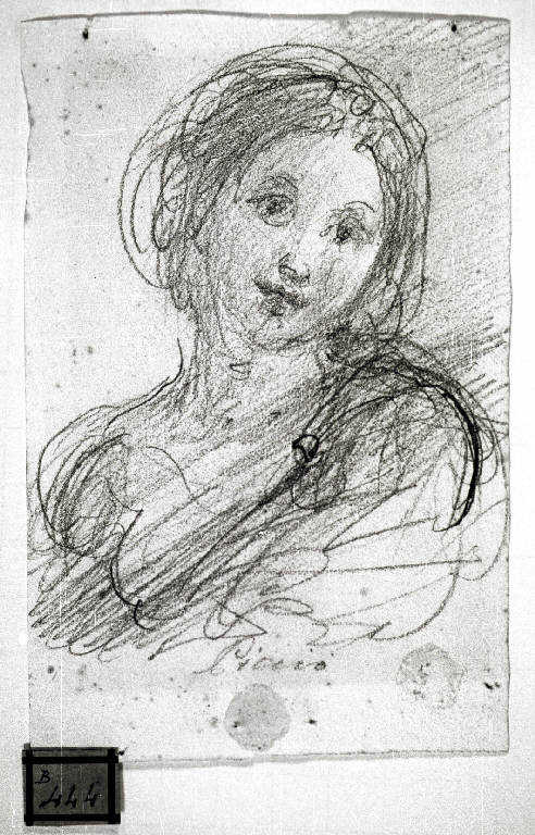 Testa di donna (disegno) di Carnovali Giovanni detto Piccio (terzo quarto sec. XIX)