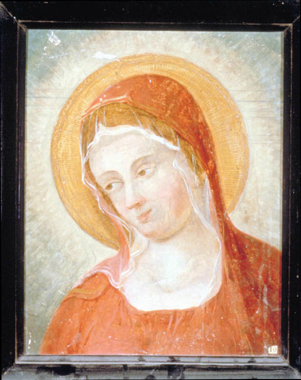 TESTA DI MADONNA (dipinto) - ambito lombardo (fine/inizio secc. XVIII/ XIX)
