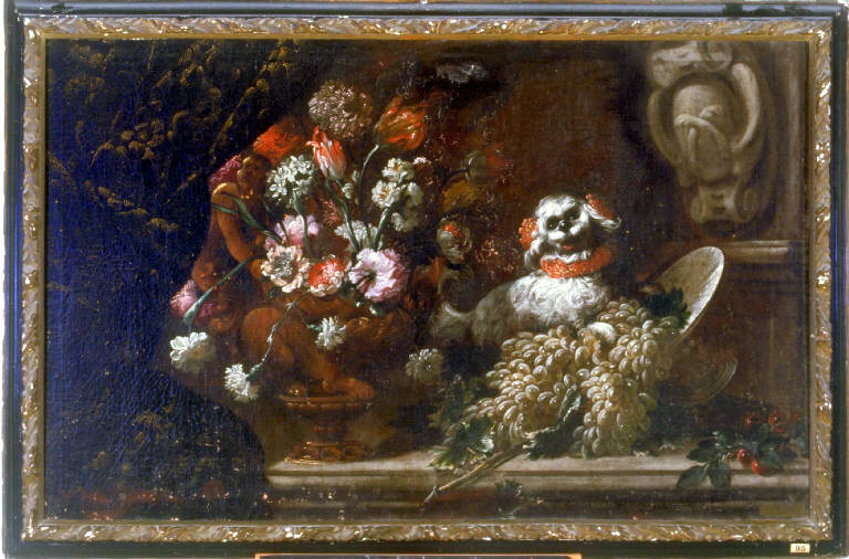NATURA MORTA CON FRUTTA, FIORI E CANE (dipinto) - ambito lombardo (fine/inizio secc. XVII/ XVIII)