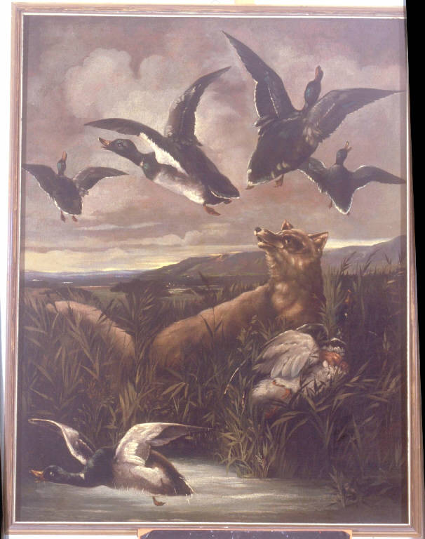 Caccia notturna, SCENA DI CACCIA NOTTURNA (dipinto) di Snyders Frans (attr.) (primo quarto sec. XVII)