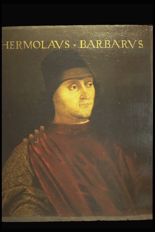 Ritratto di Ermolao Barbaro (dipinto) (sec. XVI)