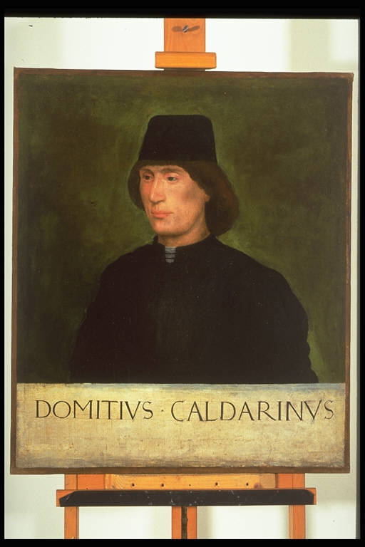 Ritratto di Domizio Calderino (dipinto) (sec. XVI)