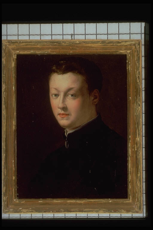 Ritratto di giovane (dipinto) di Bronzino, Agnolo (metà sec. XVI)