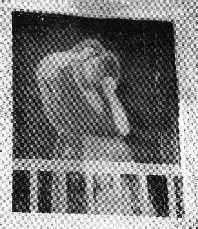 Ragazza che si pettina, Donne in un interno (dipinto murale) di Rossi Ilario (terzo quarto sec. XX)