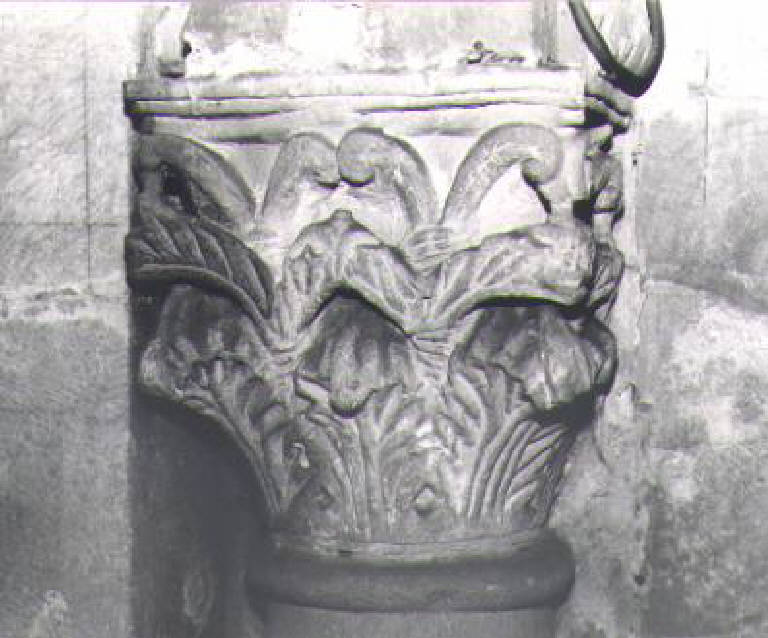 Motivi decorativi vegetali stilizzati (capitello) - ambito pavese (prima metà sec. XII)