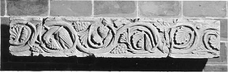 Motivi decorativi vegetali stilizzati e animali (fregio scolpito) - ambito pavese (sec. XII)