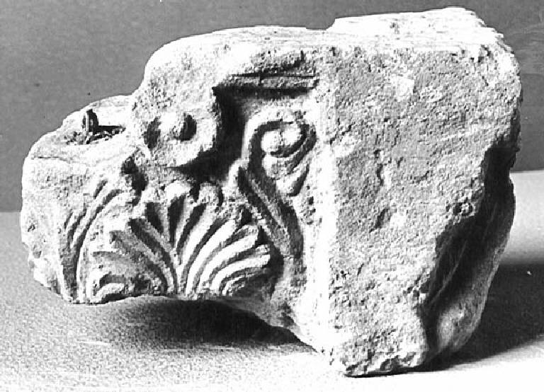 Motivi decorativi vegetali stilizzati (capitello scolpito) - ambito pavese (sec. XII)
