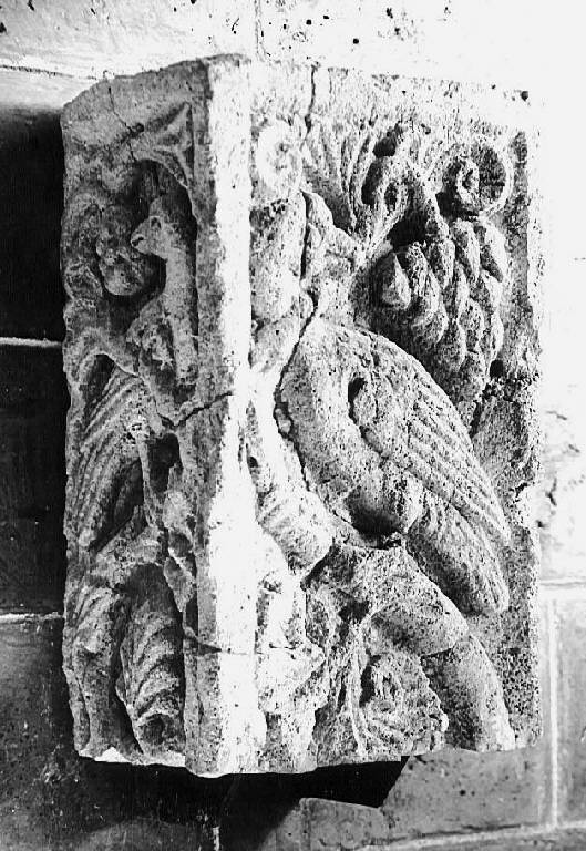 Motivi decorativi vegetali stilizzati e animale (fregio di lesena) - ambito pavese (sec. XII)