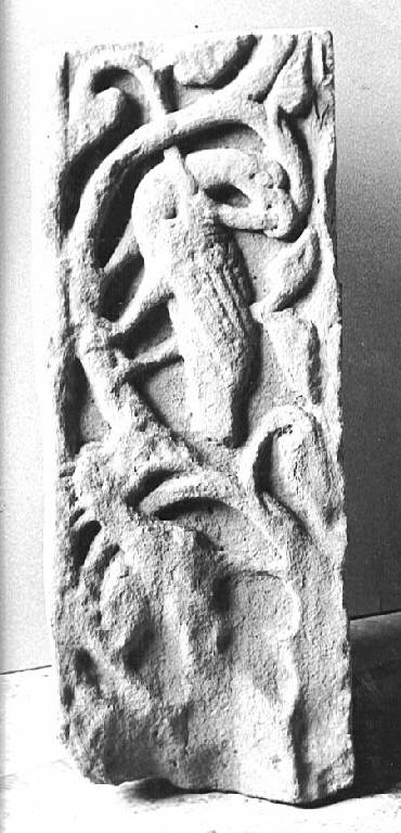 Motivi decorativi vegetali stilizzati e animali (strombo di portale) - ambito pavese (sec. XII)