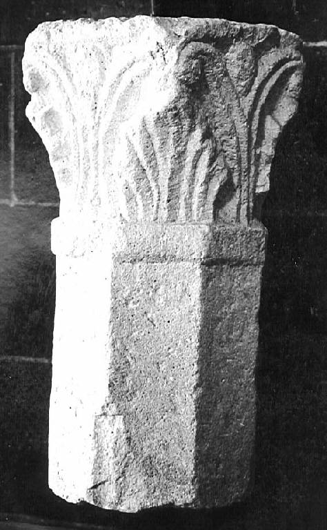Motivi decorativi vegetali (colonna con capitello) - ambito pavese (sec. XII)