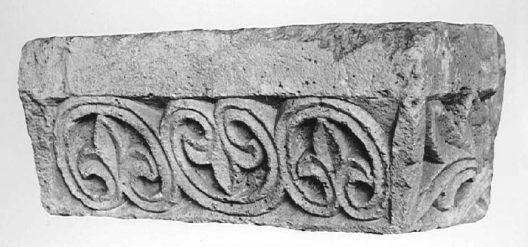 Motivi decorativi vegetali stilizzati (abaco decorato) - ambito pavese (sec. XII)