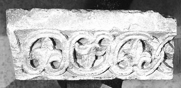 Motivi decorativi vegetali stilizzati (abaco decorato) - ambito pavese (sec. XII)