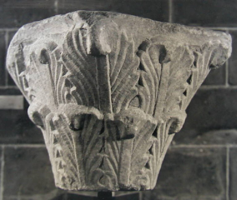 Motivi decorativi vegetali (capitello a rilievo) - ambito pavese (prima metà sec. XII)