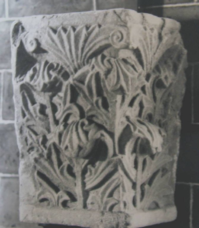 Motivi decorativi vegetali (capitello a rilievo) - ambito pavese (prima metà sec. XII)