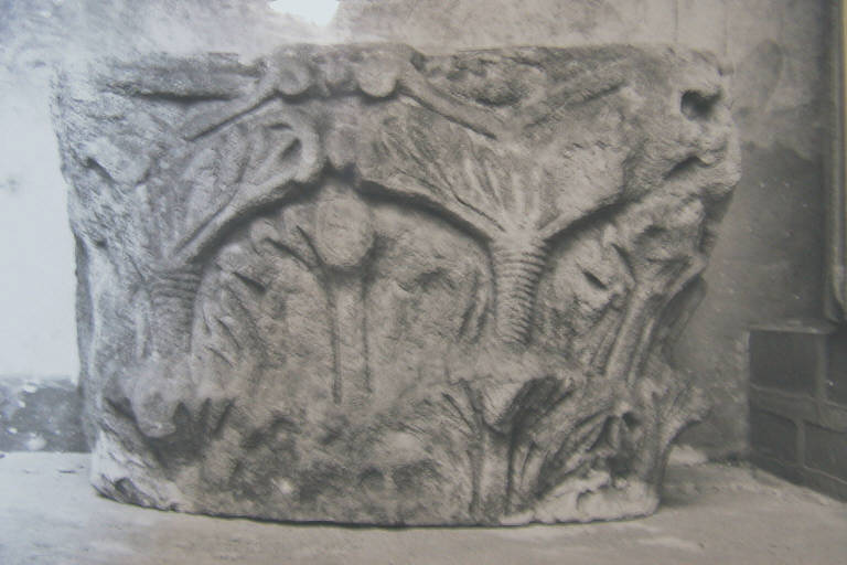 Motivi decorativi vegetali (capitello a rilievo) - ambito pavese (secondo quarto sec. XII)