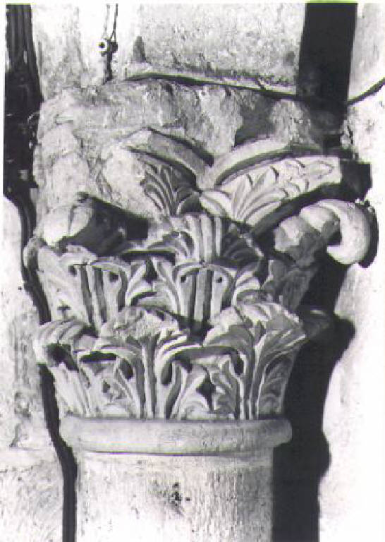 Motivi decorativi vegetali stilizzati (capitello) - ambito pavese (prima metà sec. XII)