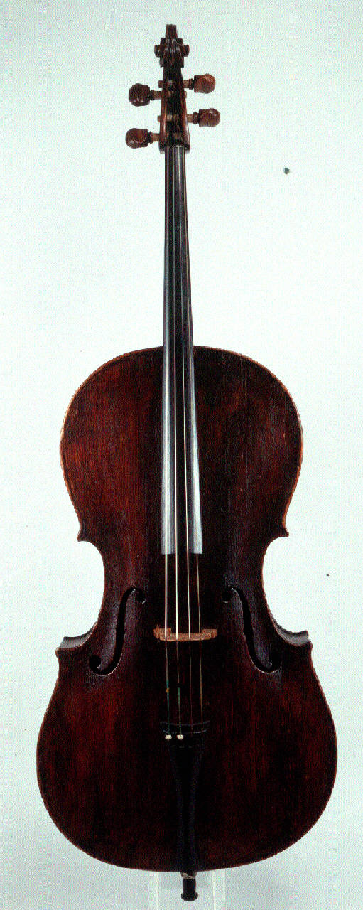 violoncello di Testore, Carlo Giuseppe - ambito milanese (inizio sec. XVIII)