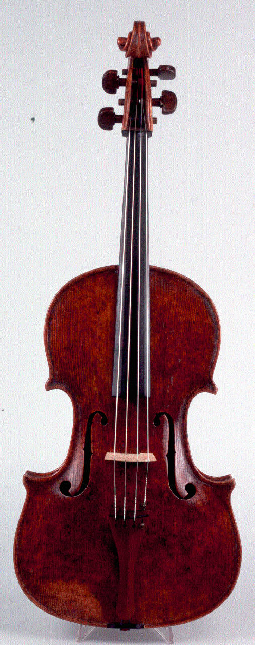 viola di Bodio, Giovanni Battista - ambito veneziana (inizio sec. XIX)