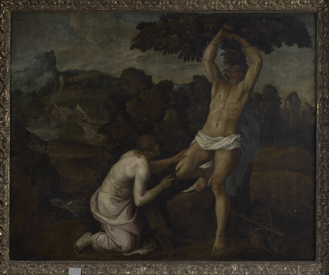 Apollo e Marsia, Apollo e Marsia (Metamorfosi) (dipinto) di Battista Franco, detto il Semolei (sec. XVI)