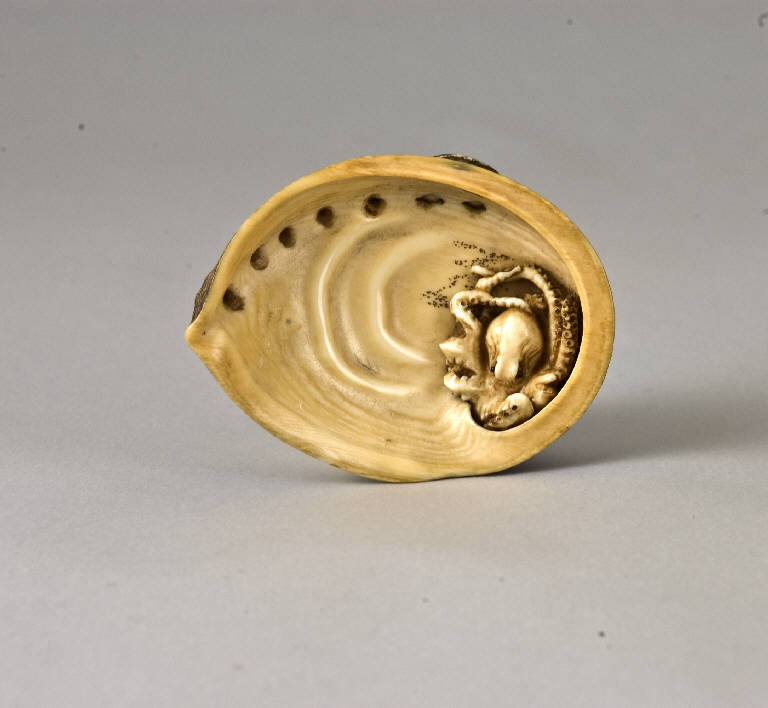 Polipo all'interno di una conchiglia, Conchiglia e polipo (scultura) di Hidemasa II (bottega) (metà sec. XIX)