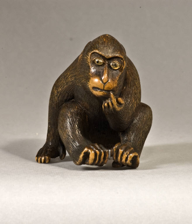 Scimmia, ANIMALE (scultura) - ambito giapponese (seconda metà sec. XIX)