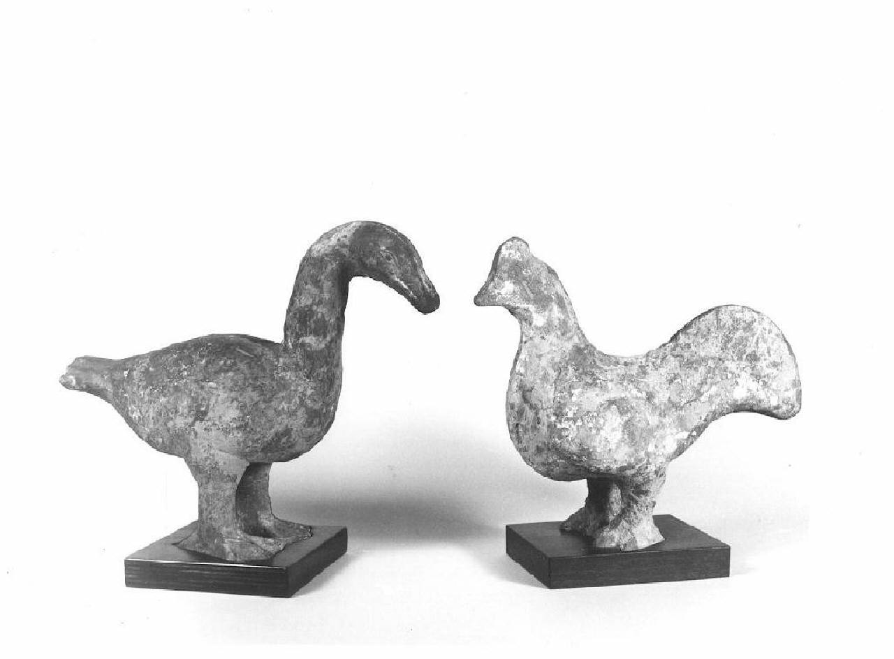 gallo (statuetta) - Manifattura cinese (secc. III a.C./ III)
