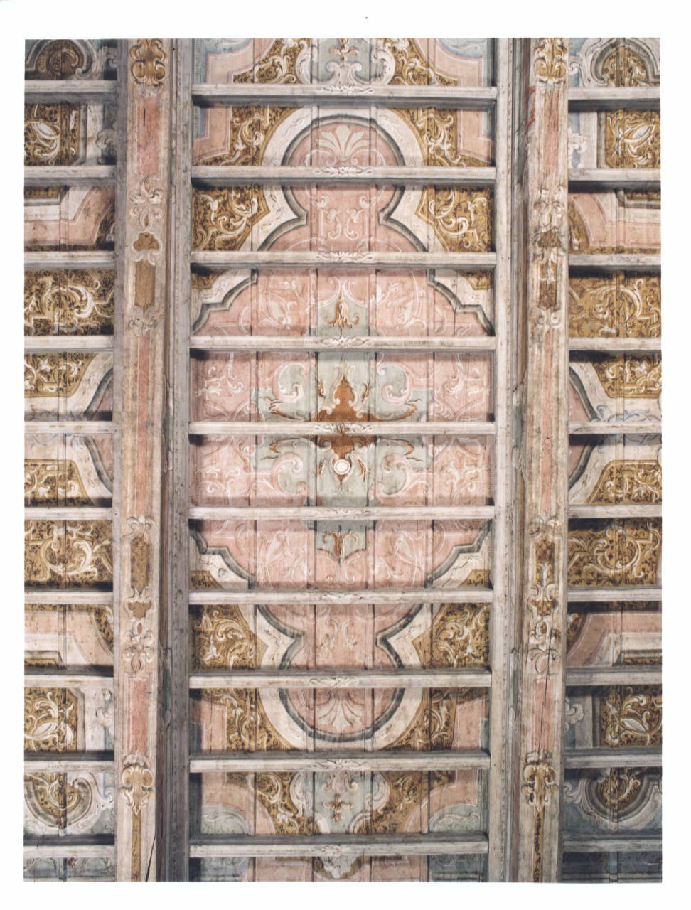 motivi decorativi floreali (soffitto dipinto) di Bellotti Biagio (bottega) (seconda metà sec. XVIII)