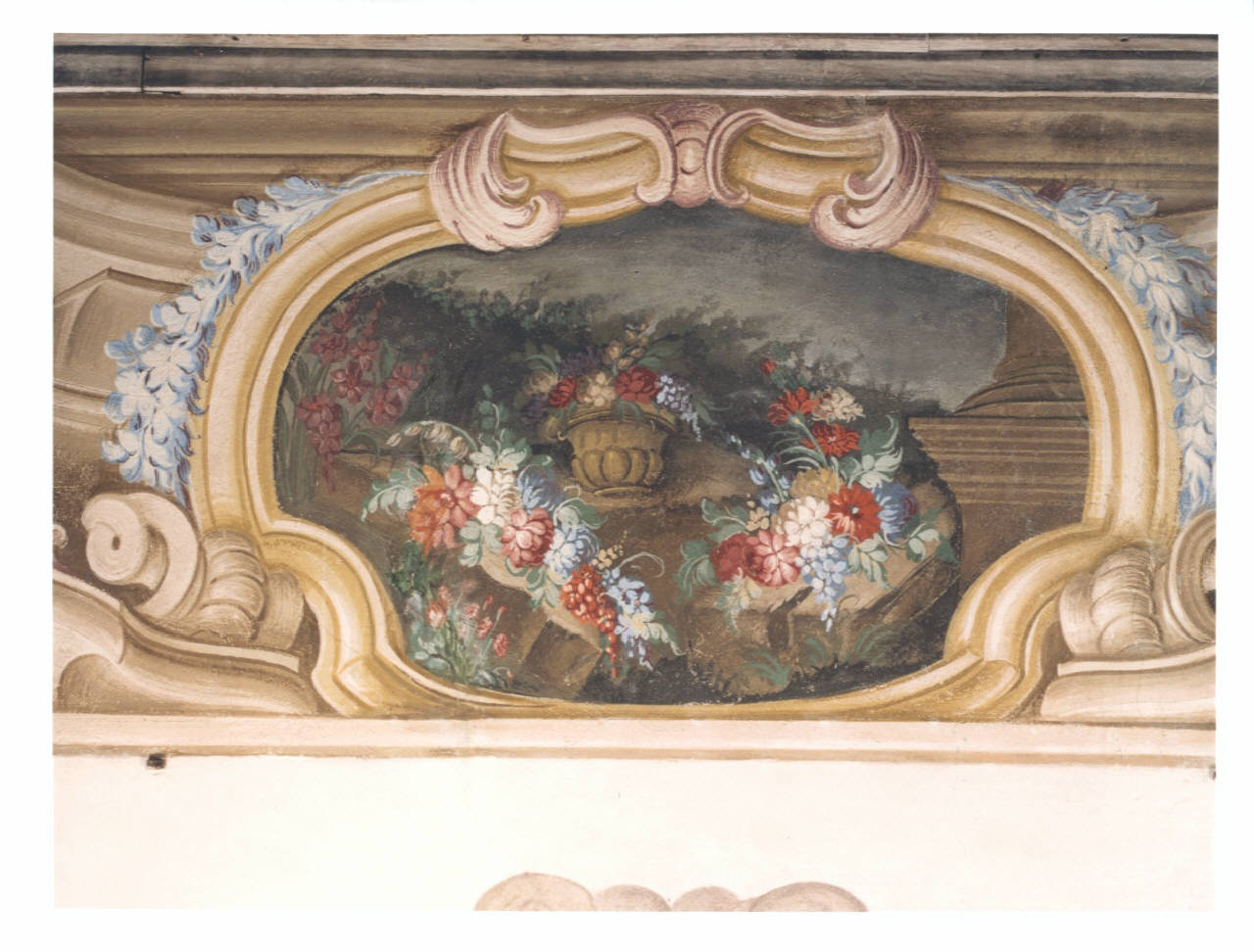 motivi decorativi floreali (dipinto murale) di Romagnoli (seconda metà sec. XVIII)