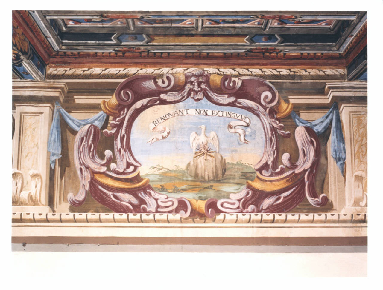 Motivi decorativi a medaglioni con uccelli (dipinto murale) - ambito lombardo (seconda metà sec. XVIII)