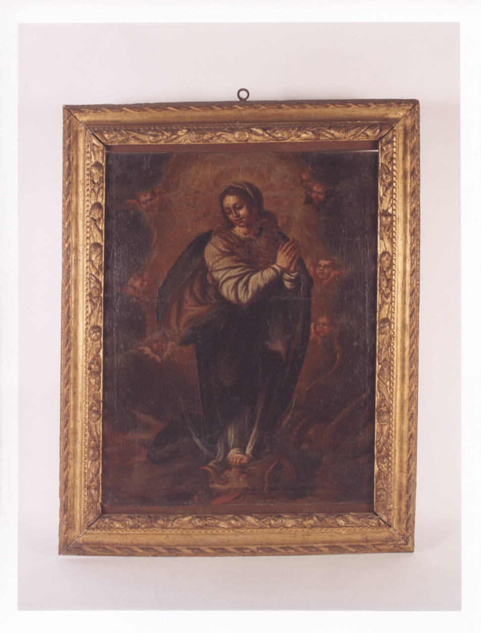 Madonna orante, Immacolata Concezione (dipinto) di Caccia Guglielmo detto Moncalvo (bottega) (fine/inizio secc. XVI/ XVII)