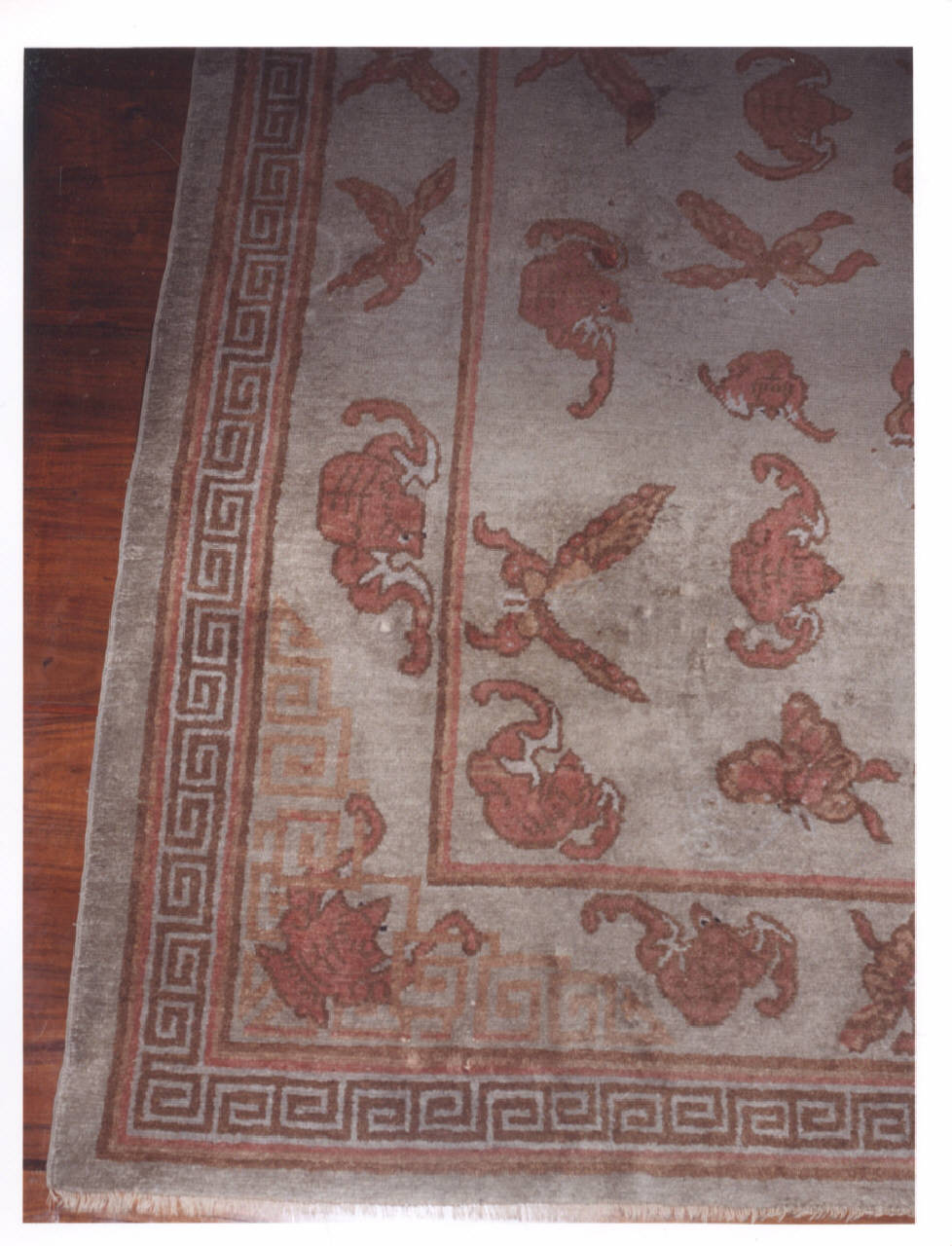 tappeto - manifattura cinese (seconda metà sec. XVIII)